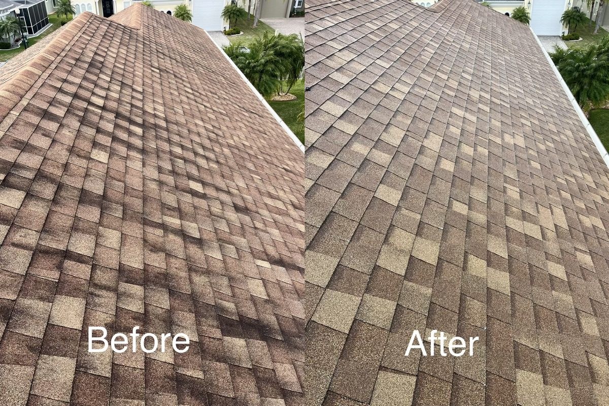 Roof soft washing before after
